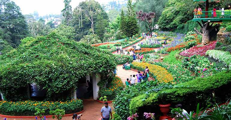 Ooty Flower Show 2024