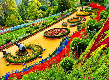 Ooty Sightseeing Tour Packages