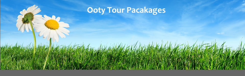 ooty tour packages