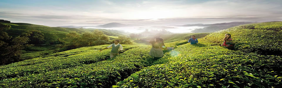 Place to see in ooty