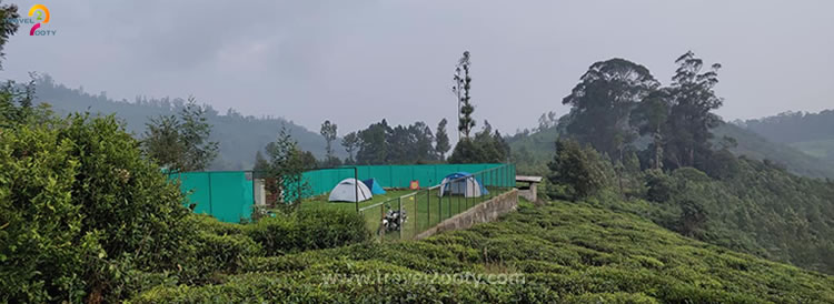 private Camping in Ooty
