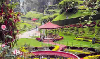 Top 4 Beautiful Gardens in Ooty