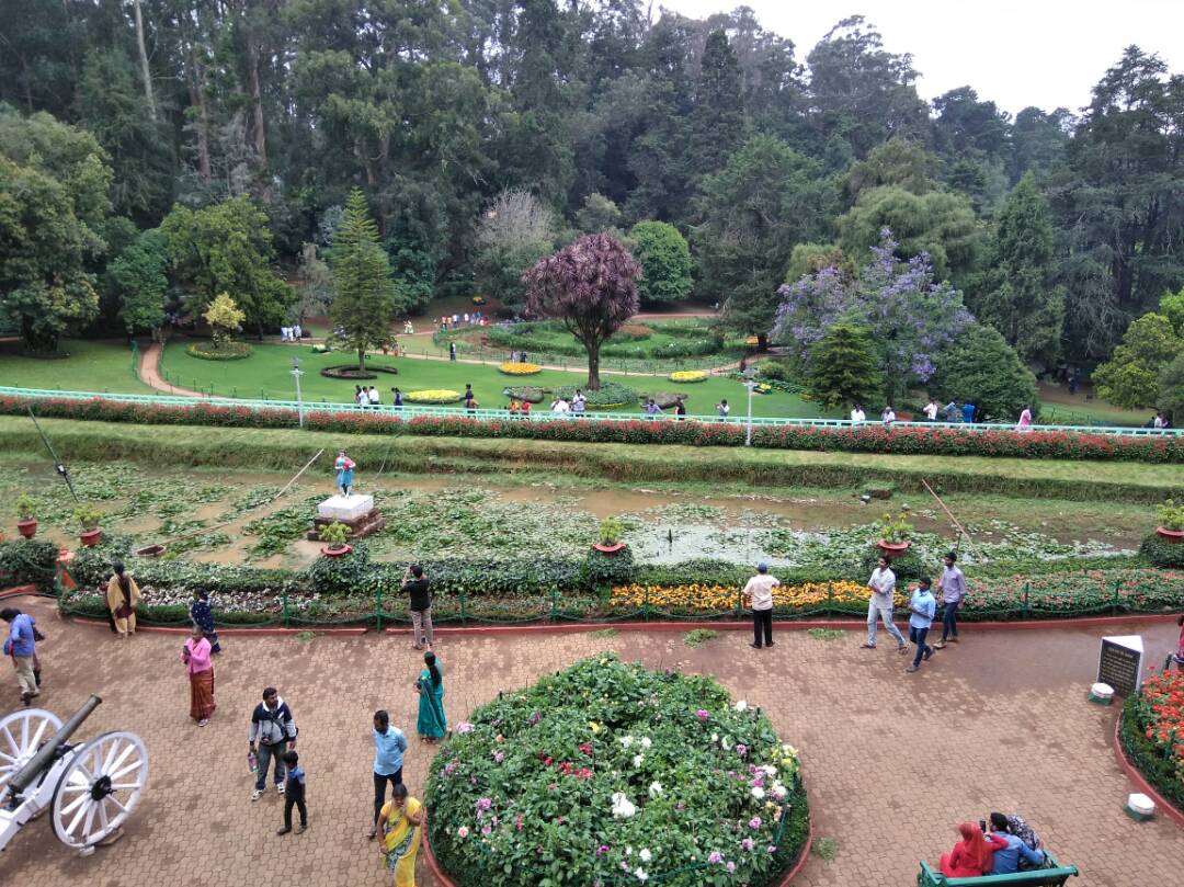 Ooty Flower Show 2017