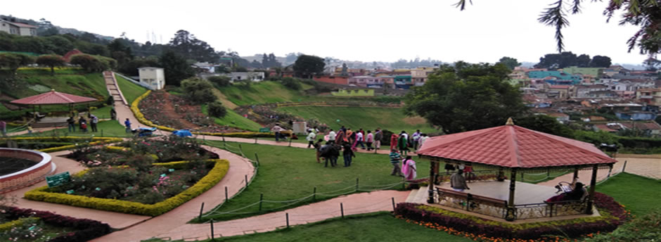 Government Rose Garden