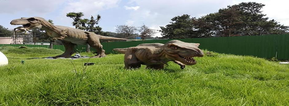 Dinosaur park photos