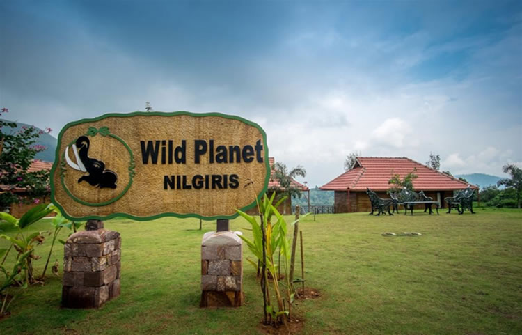 how to reach wild planet resort