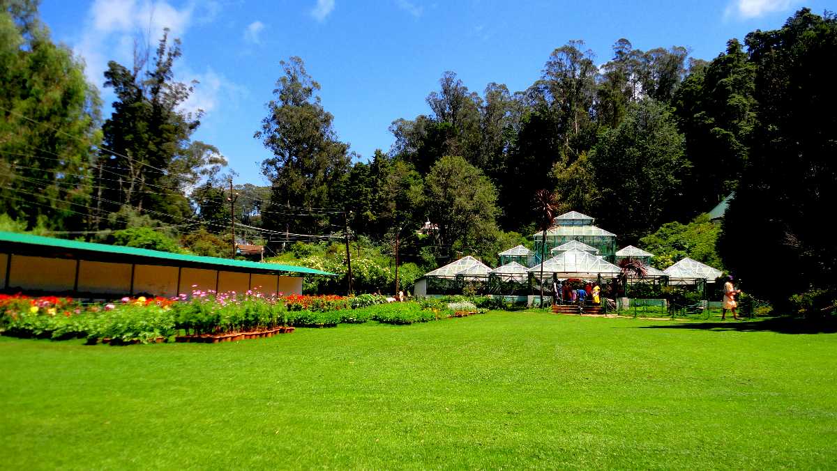 ooty tourist shopping