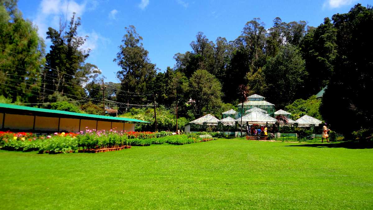 ooty tourist information