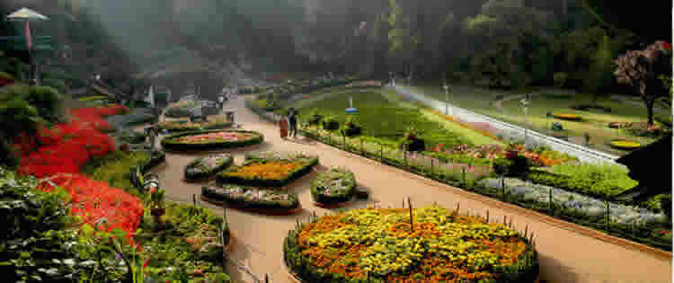 travel 2 ooty