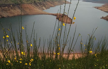 Avalache eco tourism