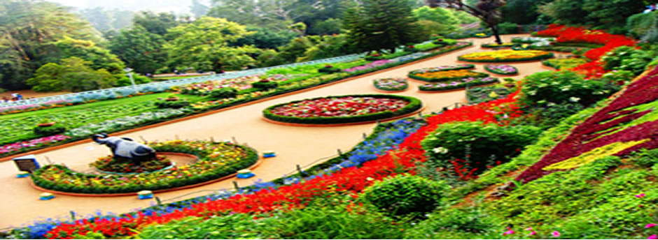 1 day ooty tour plan