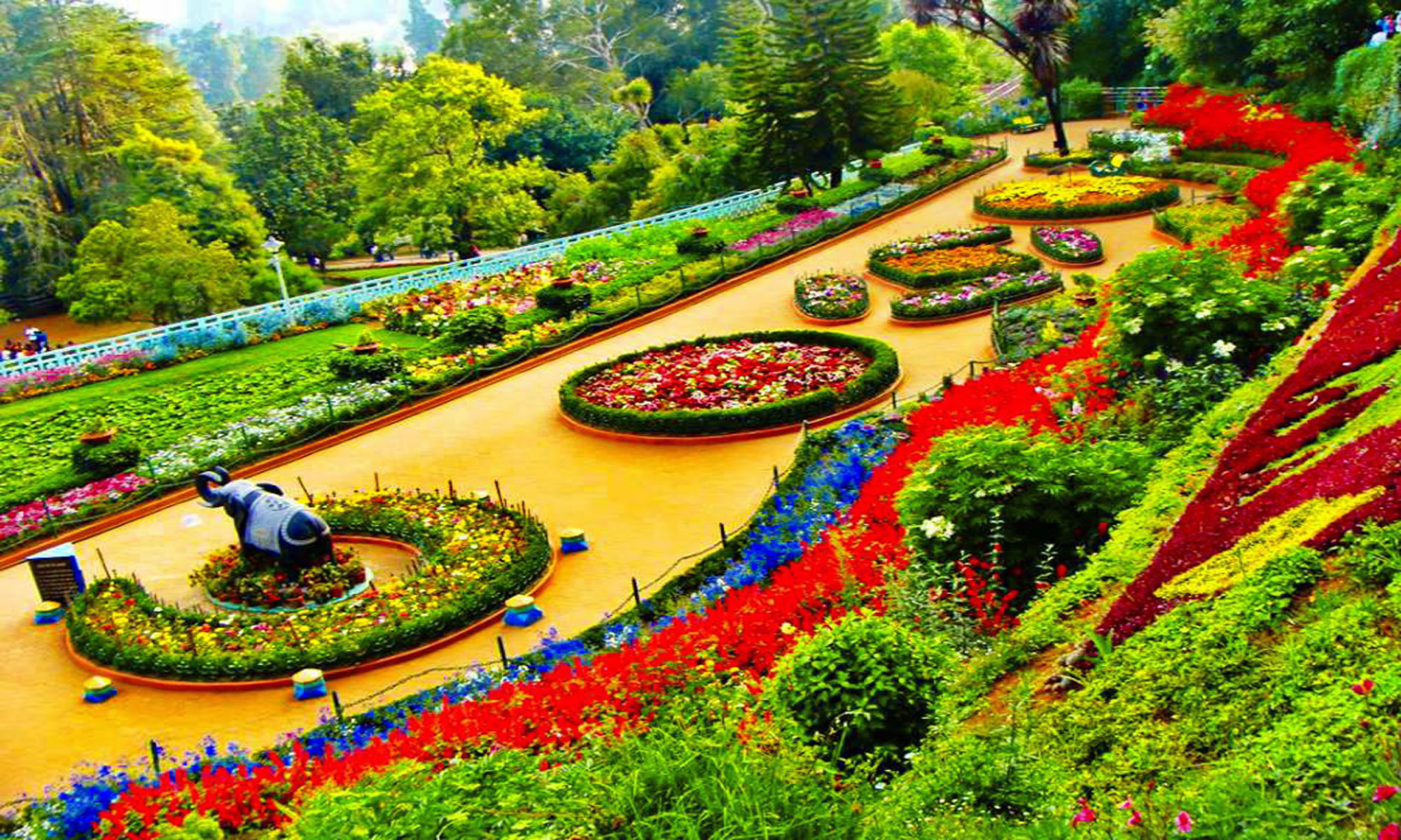 Festivals & Events in Ooty
