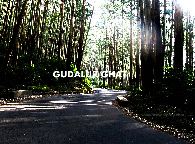 Gudalur Ghat Road