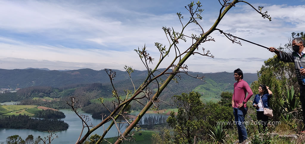 ooty hiking