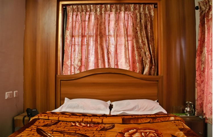 Green Apple Residency Standard room