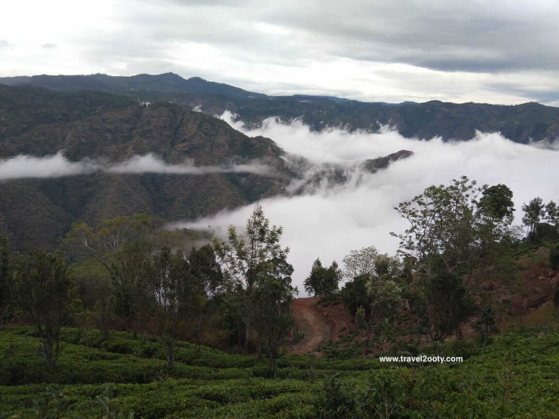 Night ride to valley view