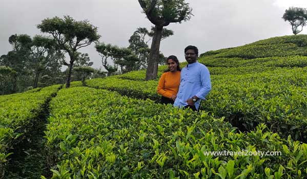 Ooty Honeymoon packages Madhan iswarya from chennai