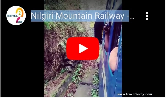 Ooty Train Video