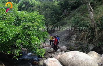 Ooty trekking packages