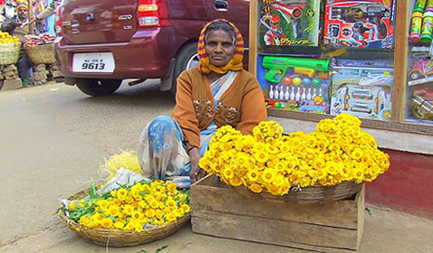 Shopping in Ooty