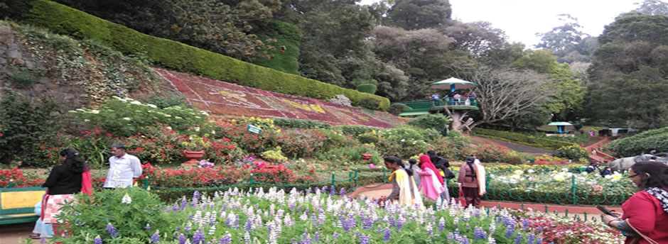Gardens and lawns at Government Botanical Garden in Ooty