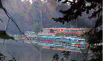 Top 5 Lakes in Ooty