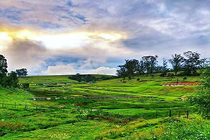 Ooty Places to Visit