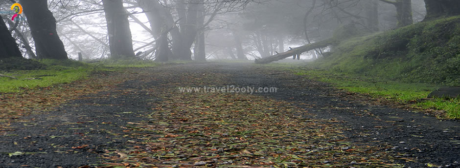 Triable trekking