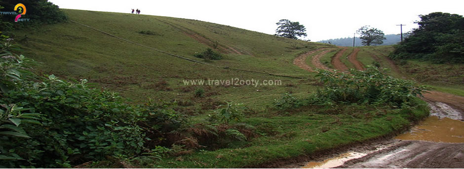 Activity in ooty