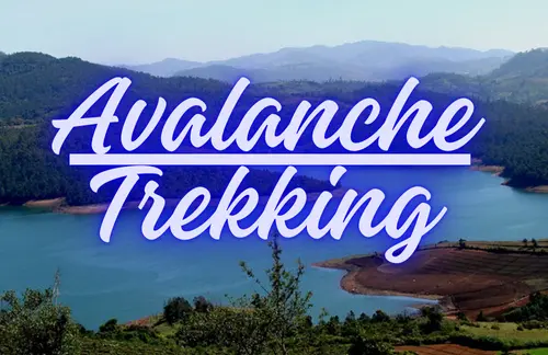 Trekking route through the Nilgiris near Ooty