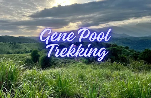 ooty tribel trekking Tour Packages