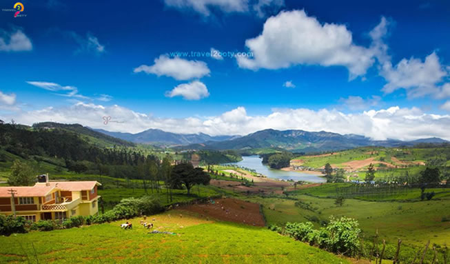 Ooty Tourist Places Packages