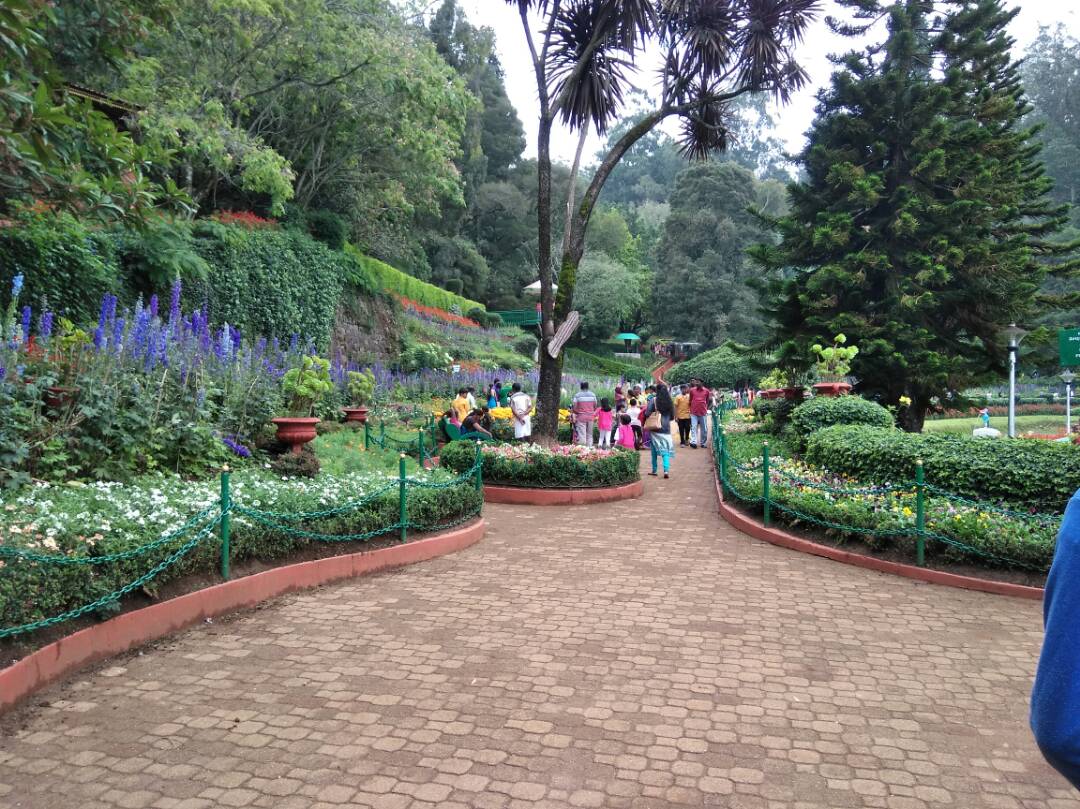 Ooty Botanical Garden