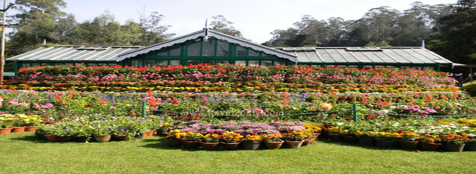 botanical garden glasshouse