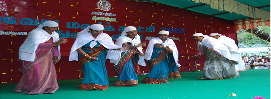 dance in flower show