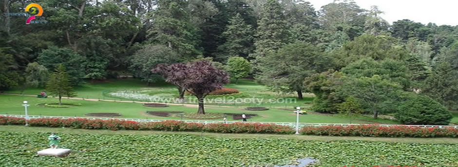 ooty garden