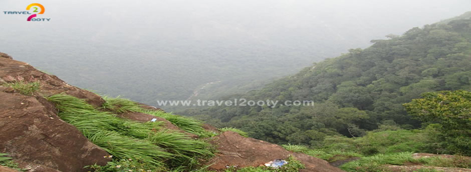 dolphin nose valley view