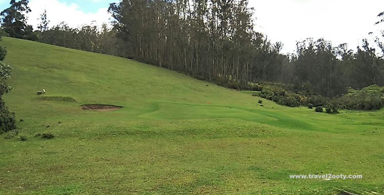 golf court ooty