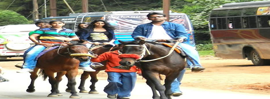 horse ride ooty lake