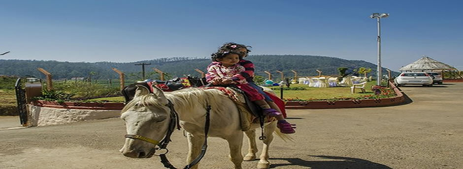 horse ride ooty