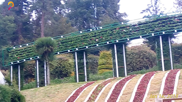 karnataka garden in ooty