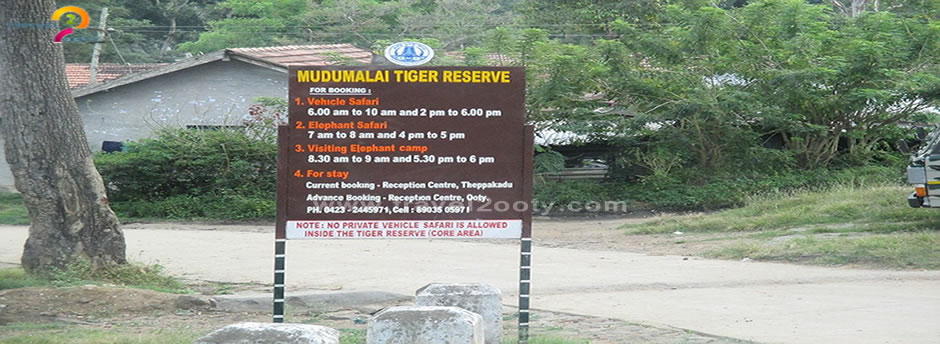 mudumalai sari timings