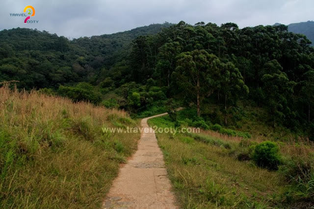 ooty needle rock