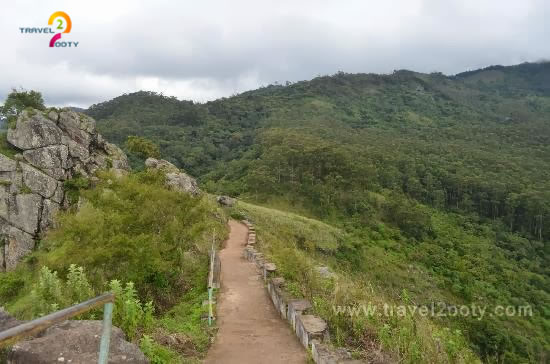 ooty place to visit needle rock viewpoint