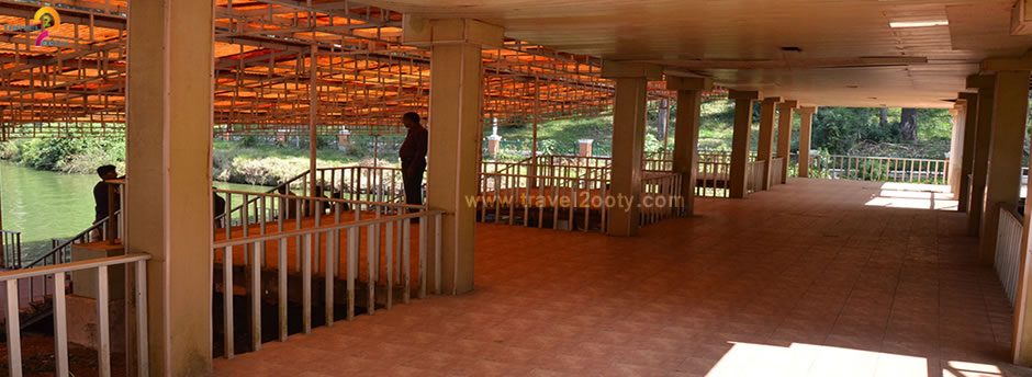 Ooty boat house for honeymoon