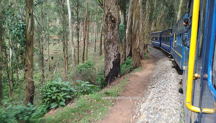 ooty train ride