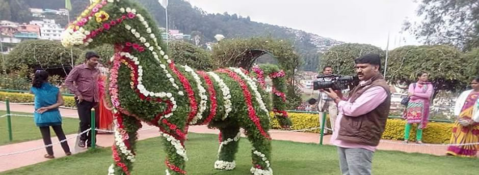 ooty garden