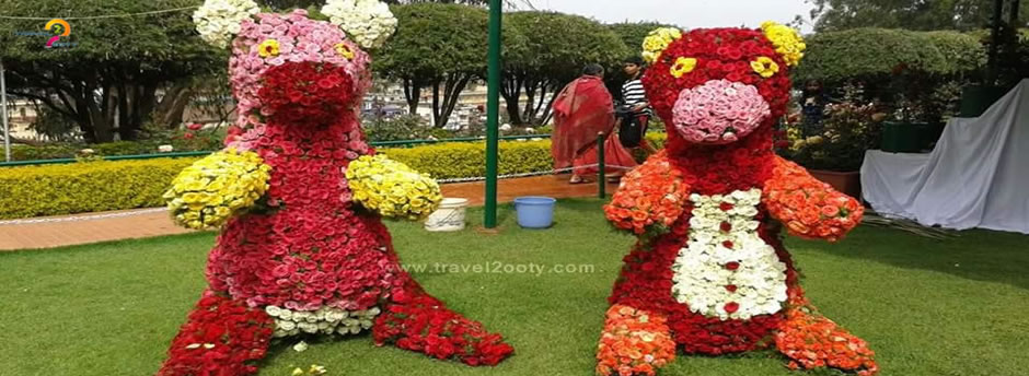 ooty rose garden flower show